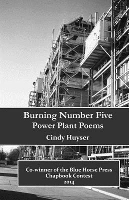 Burning Number Five, Cindy Huyser - Paperback - 9780692249963