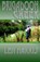 Brigadoon Creek, Len Harris - Paperback - 9780692256282