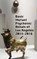 Basic Mutant Psychosis, SULLIVAN,  Shawn Michael - Paperback - 9780692653784