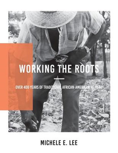 Working The Roots: Over 400 Years of Traditional African American Healing, Michele Elizabeth Lee - Paperback - 9780692857878