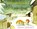 The Tomten and the Fox, Astrid Lindgren - Paperback - 9780698115927