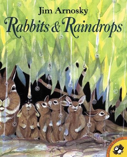 Rabbits and Raindrops, Jim Arnosky - Paperback - 9780698118157