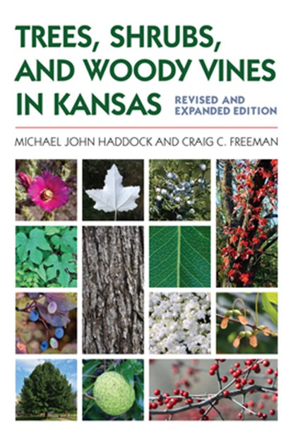 Trees, Shrubs, and Woody Vines in Kansas, Michael John Haddock ; Craig C. Freeman - Paperback - 9780700627684