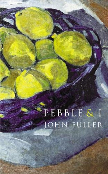 Pebble & I, John Fuller - Paperback - 9780701184919
