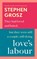 Love's Labour, Stephen Grosz - Paperback - 9780701188979