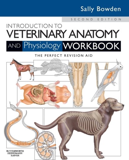 Introduction to Veterinary Anatomy and Physiology Workbook, Sally J. Bowden - Paperback - 9780702052323