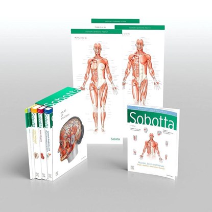 Sobotta Atlas of Anatomy, Package, 17th ed., English/Latin, Friedrich Paulsen ; Jens Waschke - Gebonden - 9780702067648