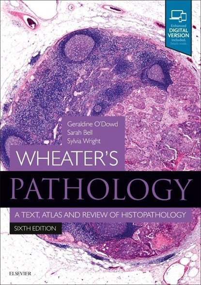 Wheater's Pathology: A Text, Atlas and Review of Histopathology, Geraldine (Consultant Diagnostic Pathologist O'Dowd ; Sarah (Consultant Pathologist Bell ; Sylvia (Consultant Pathologist Wright - Paperback - 9780702075599