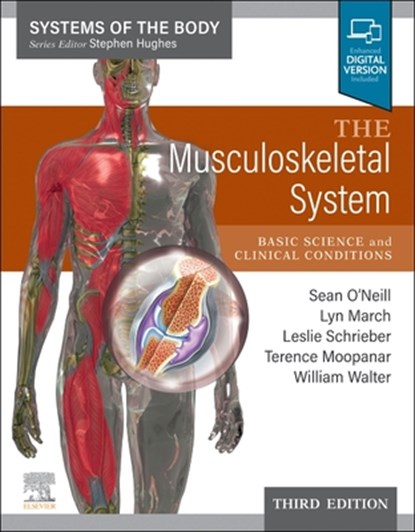 The Musculoskeletal System, Sean O'Neill ; Lyn (Associate Professor) March ; Leslie Schrieber - Paperback - 9780702083808