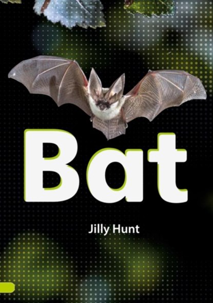 Bat (Set 02), Jilly Hunt - Paperback - 9780702327070
