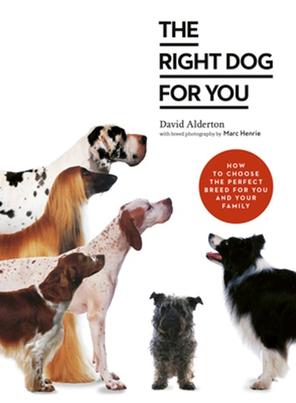 The Right Dog for You, David Alderton - Paperback - 9780711257504