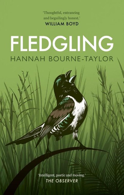 Fledgling, Hannah Bourne-Taylor - Paperback - 9780711266681