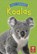 Koalas, Katie Woolley - Paperback - 9780711273177
