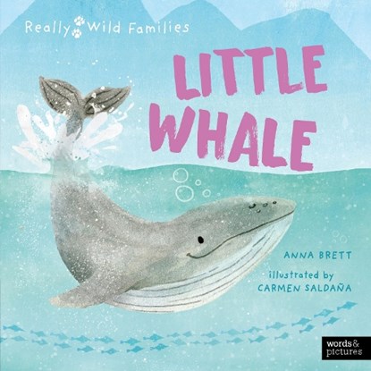 Little Whale, Anna Brett - Gebonden - 9780711283541