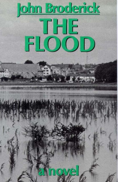 The Flood, John Broderick - Gebonden - 9780714528670
