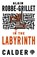 In the Labyrinth, Alain Robbe-Grillet - Paperback - 9780714544571