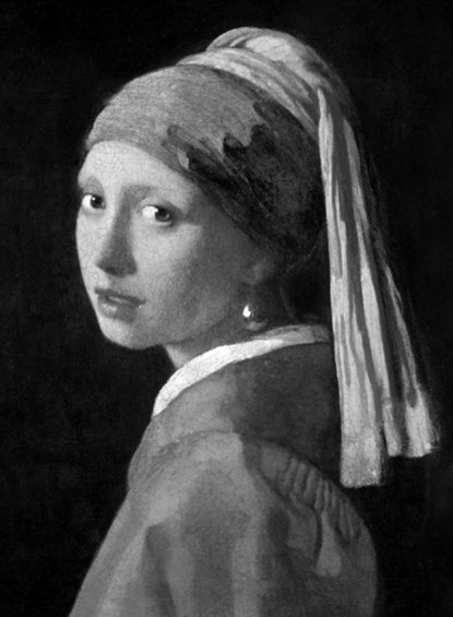 Vermeer, Ludwig Goldscheider ; Wayne Franits - Gebonden Gebonden - 9780714869681