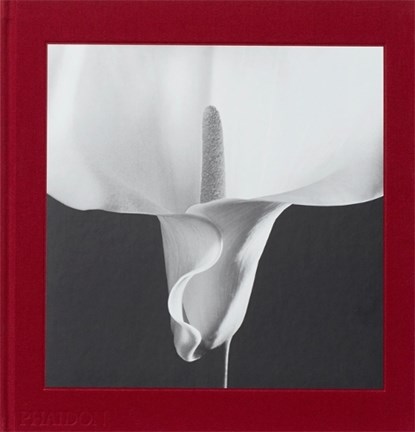 Mapplethorpe Flora, HOLBORN,  Mark - Gebonden - 9780714871318
