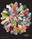 Plant, Phaidon Editors ; James Compton ; Martyn Rix - Gebonden - 9780714871486