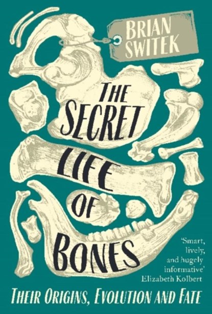 The Secret Life of Bones, Brian Switek - Paperback - 9780715653791
