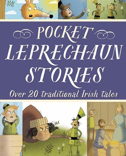 Pocket Leprechaun Stories, Fiona Biggs - Gebonden - 9780717169191