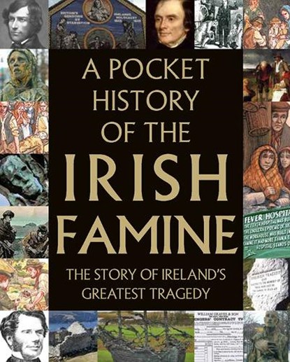 A Pocket History of the Irish Famine, Fiona Biggs - Gebonden - 9780717179442