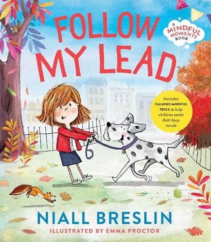 Follow My Lead, Niall Breslin - Gebonden - 9780717199112