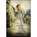 The Curiosity Keeper, Sarah E. Ladd - Paperback - 9780718011789