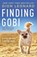 Leonard, D: Finding Gobi, Dion Leonard - Paperback - 9780718098575