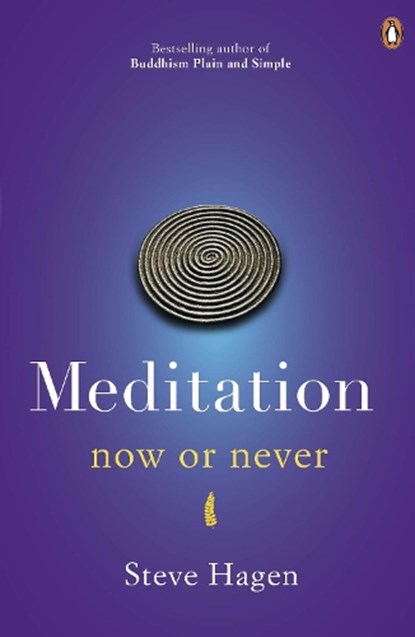 Meditation Now or Never, Steve Hagen - Paperback - 9780718193041