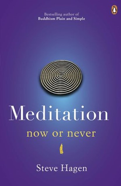 Meditation Now or Never, Steve Hagen - Ebook - 9780718193058