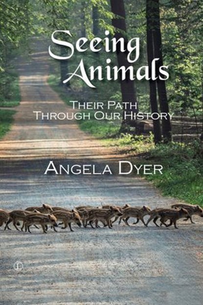 Seeing Animals, Angela Dyer - Ebook - 9780718847791