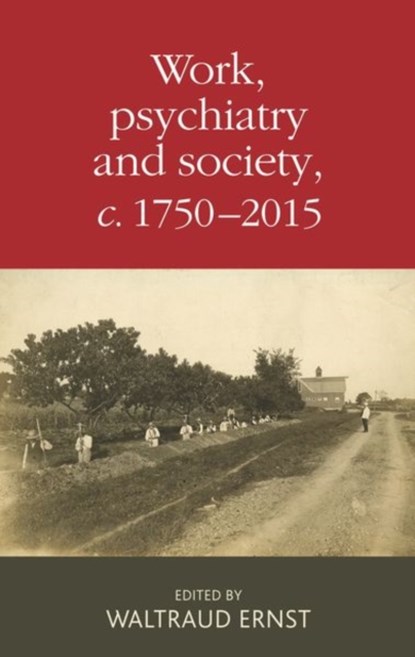 Work, Psychiatry and Society, c. 1750–2015, Waltraud Ernst - Gebonden - 9780719097690