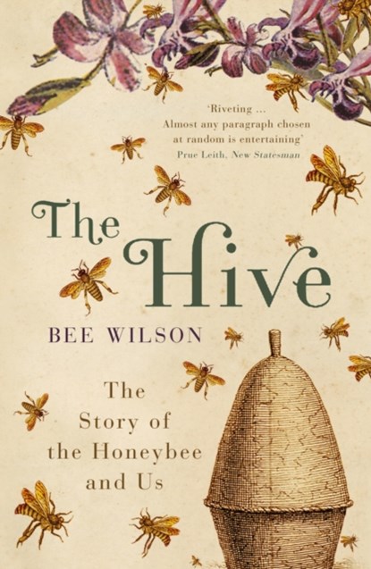 The Hive, Bee Wilson - Paperback - 9780719565984