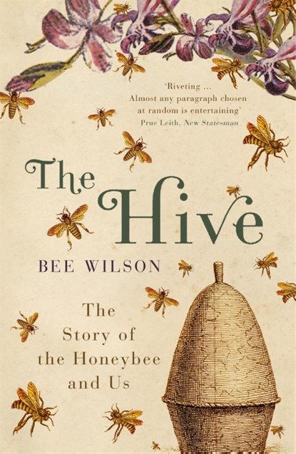 The Hive, Bee Wilson - Paperback - 9780719565984