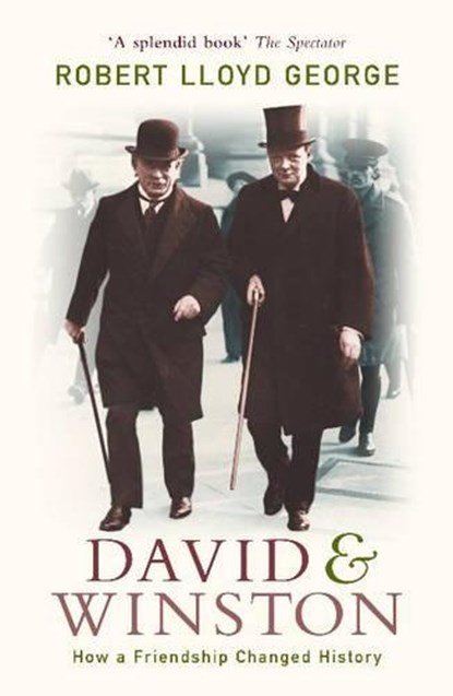David and Winston, Robert Lloyd George - Paperback - 9780719566608