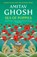Sea of Poppies, Amitav Ghosh - Paperback - 9780719568978