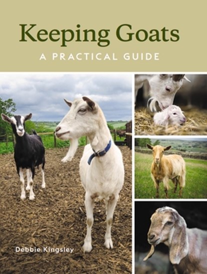 Keeping Goats, Debbie Kingsley - Gebonden - 9780719840012