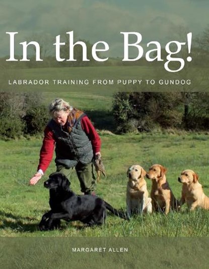 In the Bag!, Margaret Allen - Paperback - 9780719841248