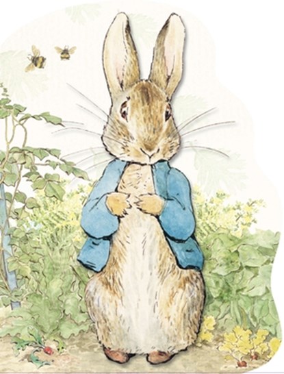 PETER RABBIT, POTTER,  Beatrix - Gebonden - 9780723259565