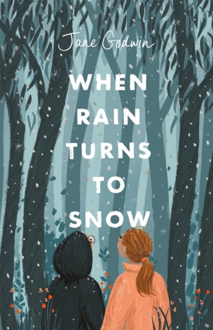 When Rain Turns to Snow, GODWIN,  Jane - Paperback - 9780734420053