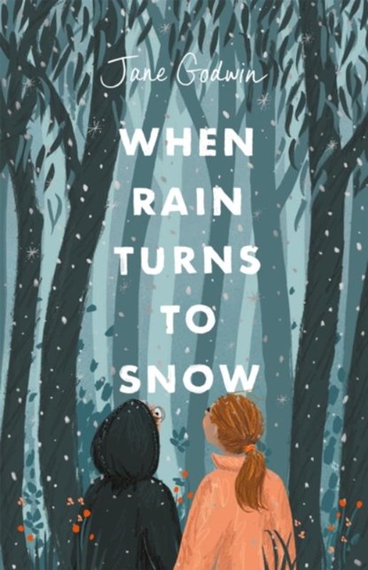 When Rain Turns to Snow, Jane Godwin - Paperback - 9780734420053