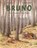 Bruno, Serena Romanelli - Gebonden - 9780735844773