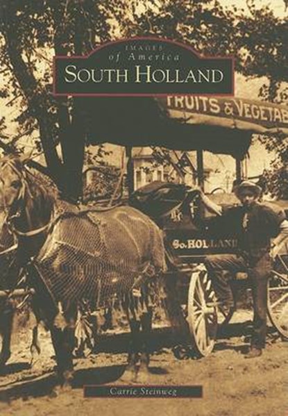 South Holland, STEINWEG,  Carrie - Paperback - 9780738523347