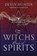 The Witch's Book of Spirits, Devin Hunter - Paperback - 9780738751948