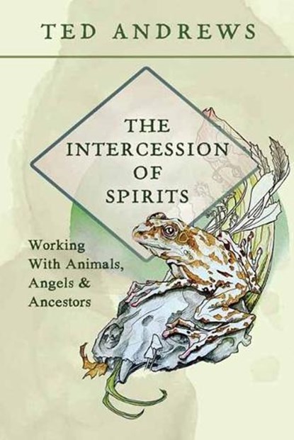 The Intercession of Spirits, Ted Andrews - Paperback - 9780738783574