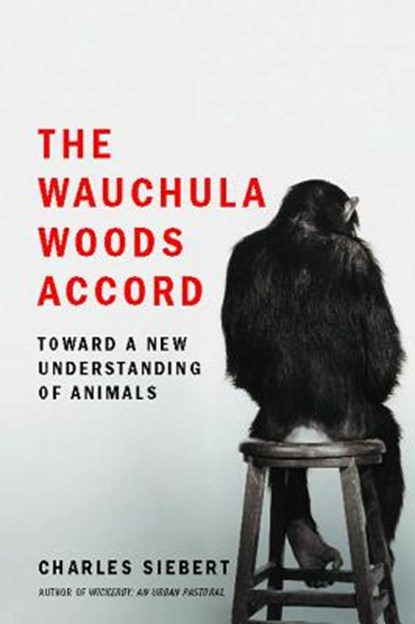 WAUCHULA WOODS ACCORD, Charles Siebert - Paperback - 9780743295871