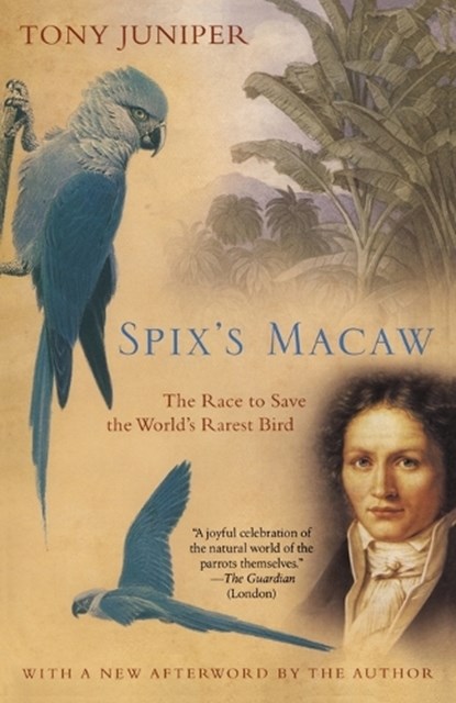 Spix's Macaw, JUNIPER,  Tony - Paperback - 9780743475518