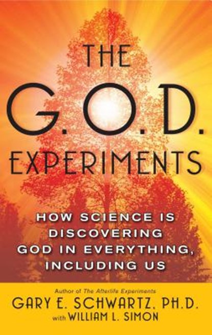 G.O.D. Experiments, Gary E. Schwartz - Paperback - 9780743477413
