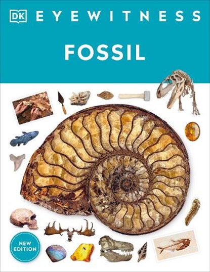Fossil, Paul David Taylor - Paperback - 9780744092066